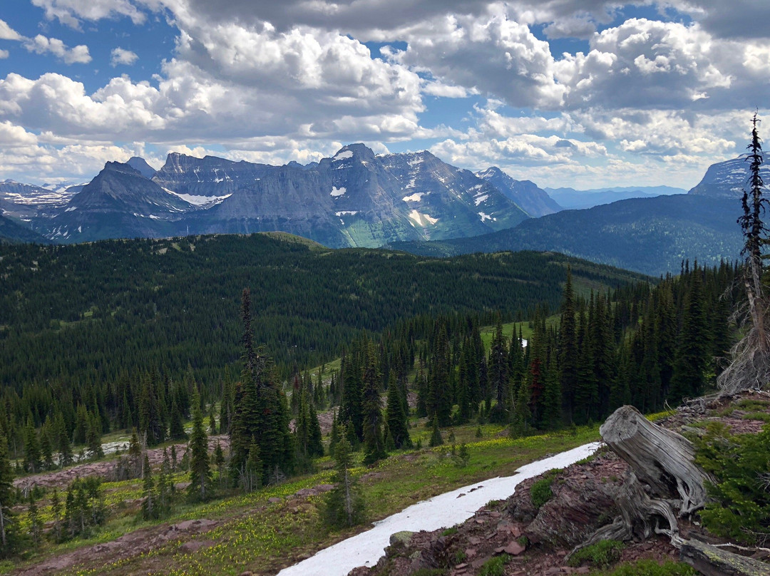 Granite Park Trail景点图片