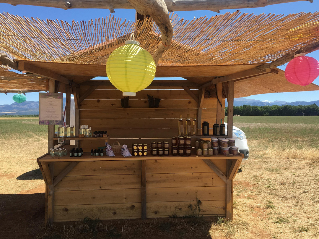 Miel et Lavandin-Riez必去景点