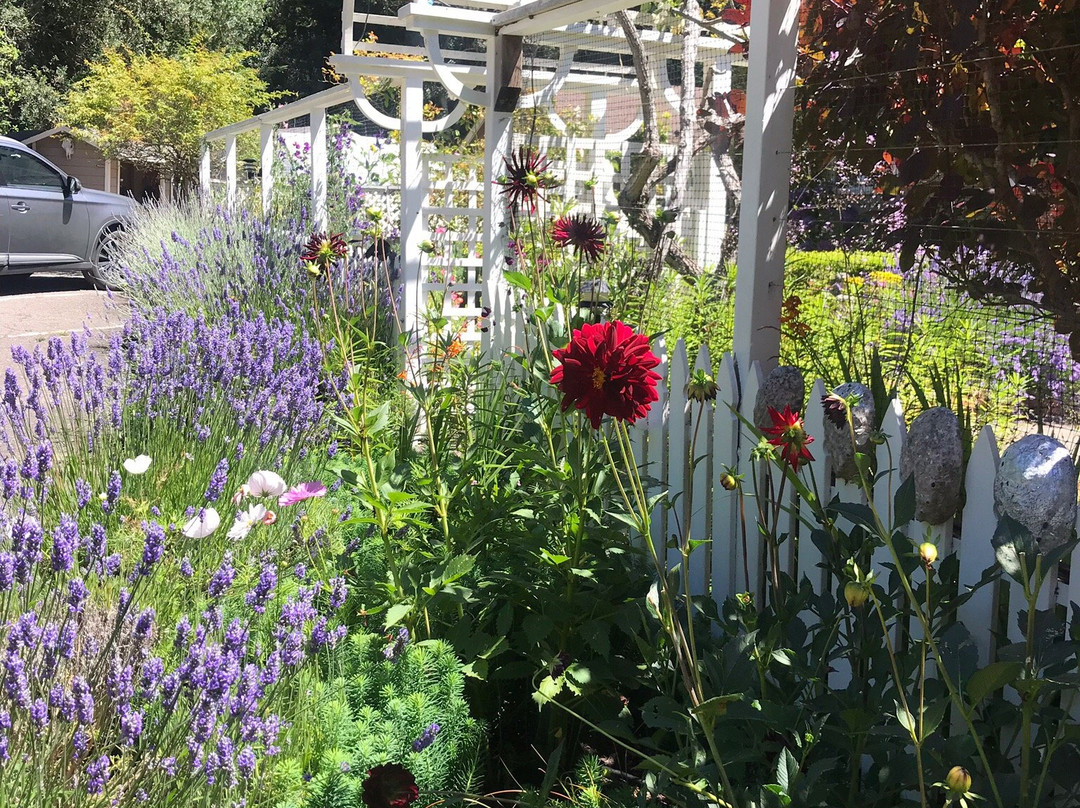 Mendocino Farmhouse主图