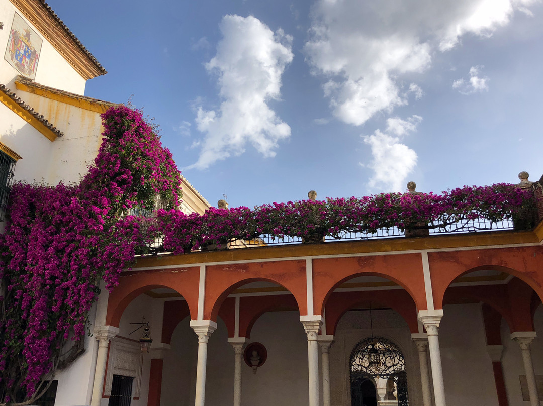 Sevilladiscover Tours-塞维利亚必去景点