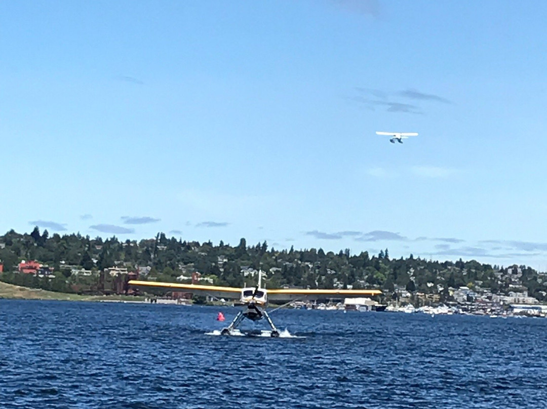 Lake Union Park景点图片