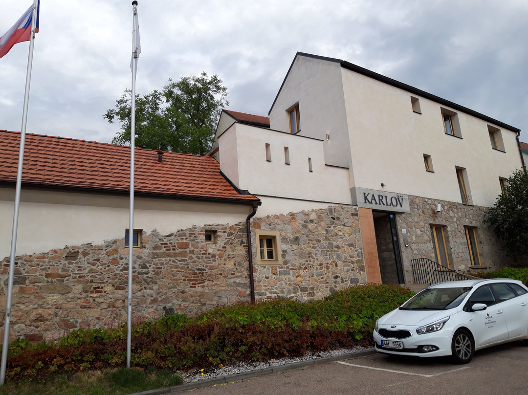 Bellevue Hotel Karlov主图