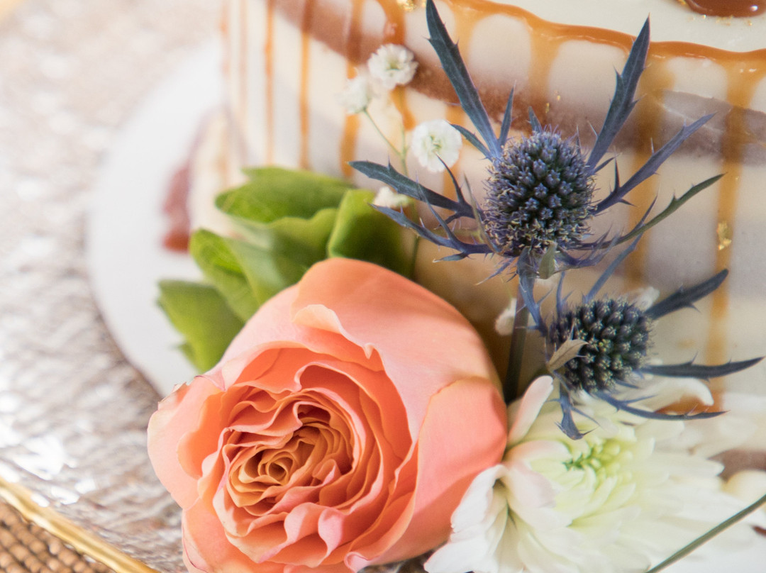 Bear Trap Dunes-Bethany Beach必去景点