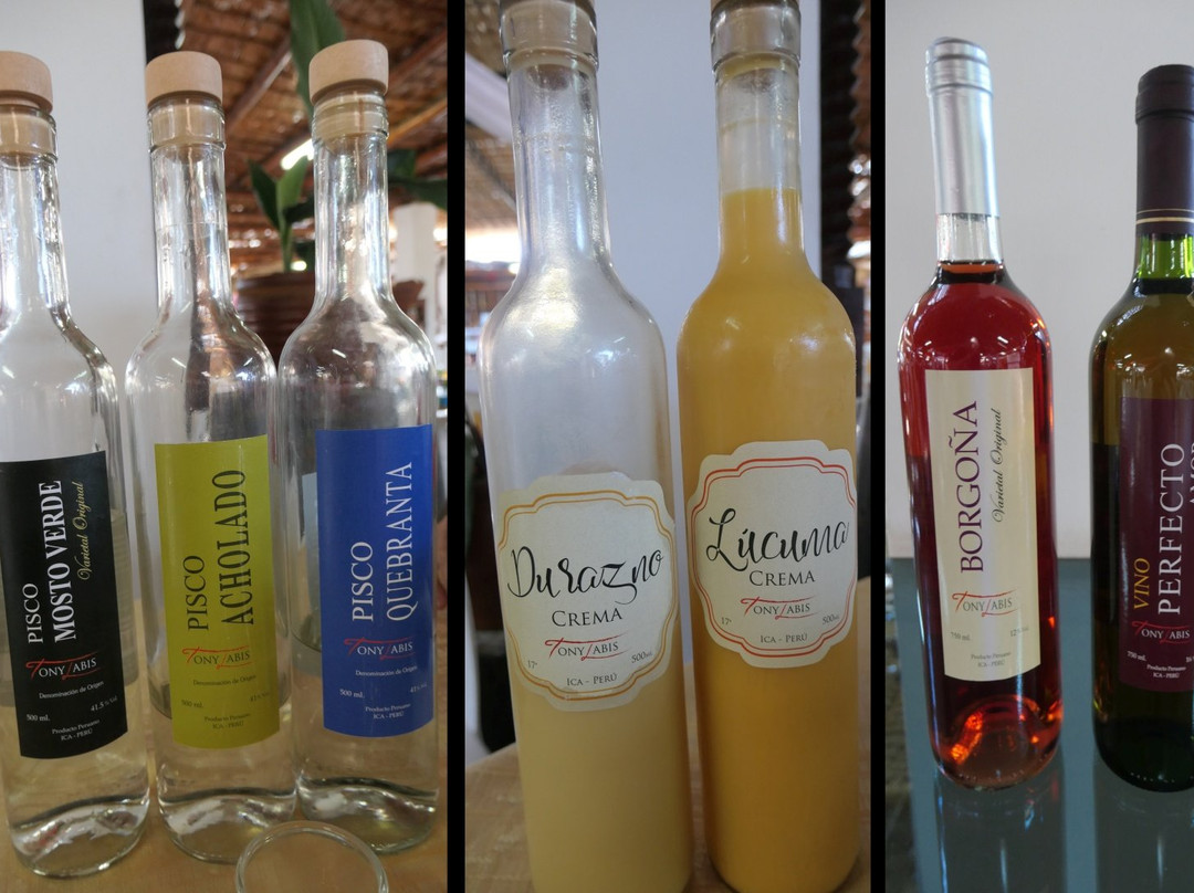 Bodega Tres Generaciones-伊卡必去景点