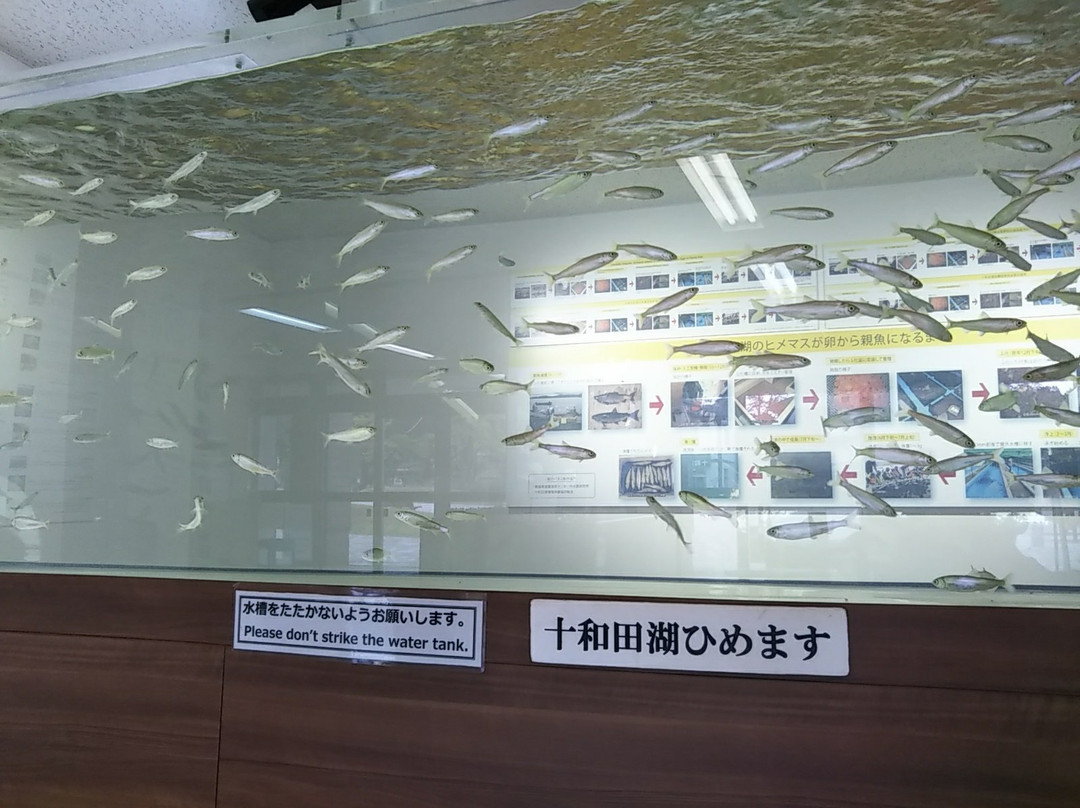 Towadako Tourism Exchange Center Puratto-十和田市必去景点