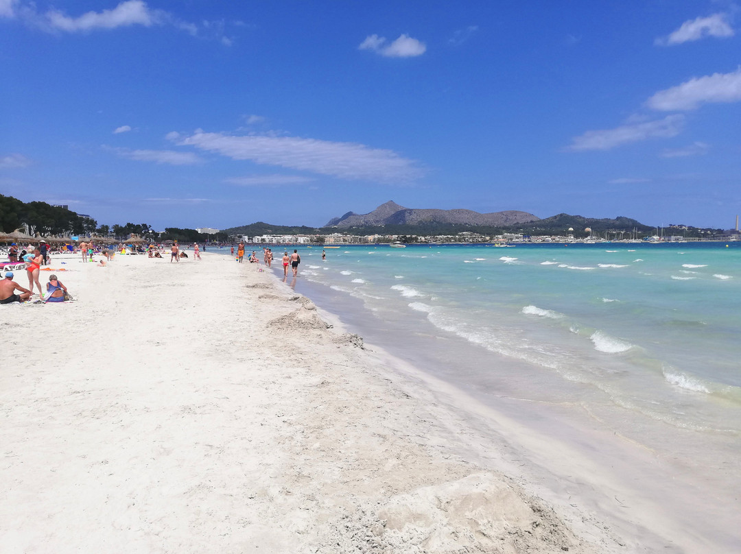 贝勒由维拉戈蒙特酒店主图