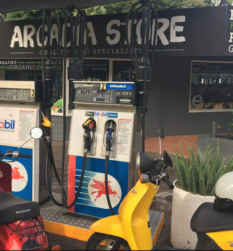 Arcadia Store-Arcadia必去景点