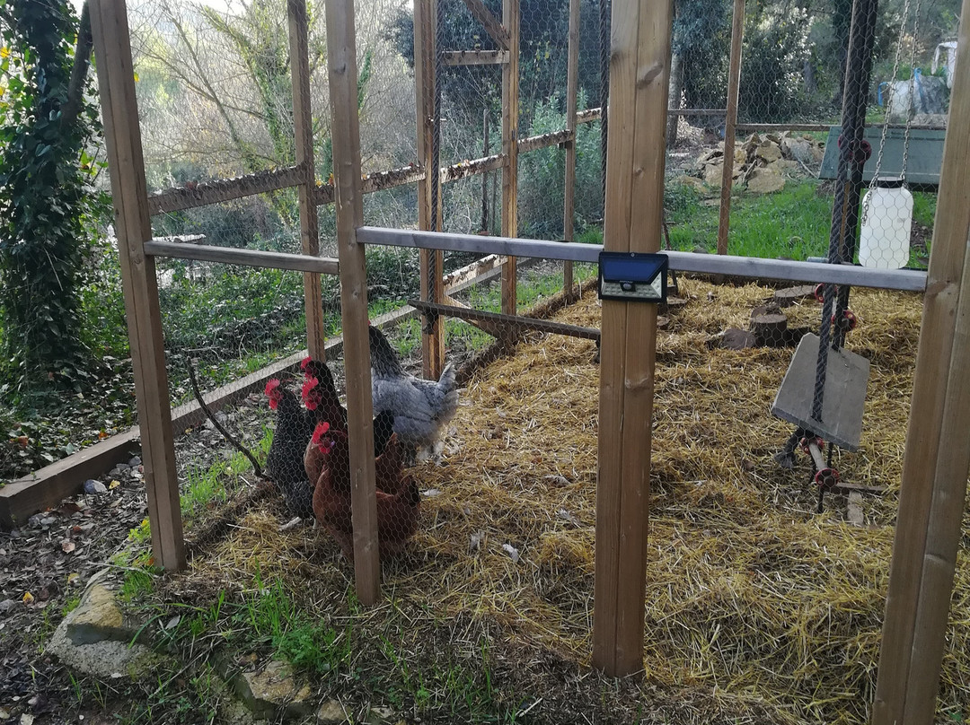 Boca Boca at La Masia Alt Penedes-巴塞罗那必去景点