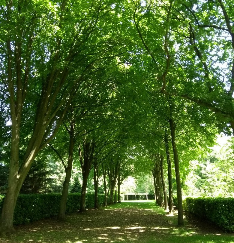 Whipsnade Tree Cathedral景点图片