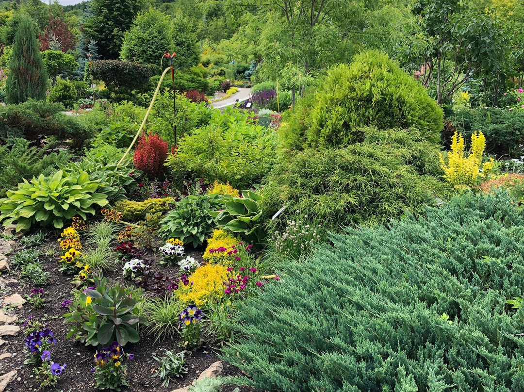 Blooming Valley Arboretum-Altaiskoye必去景点