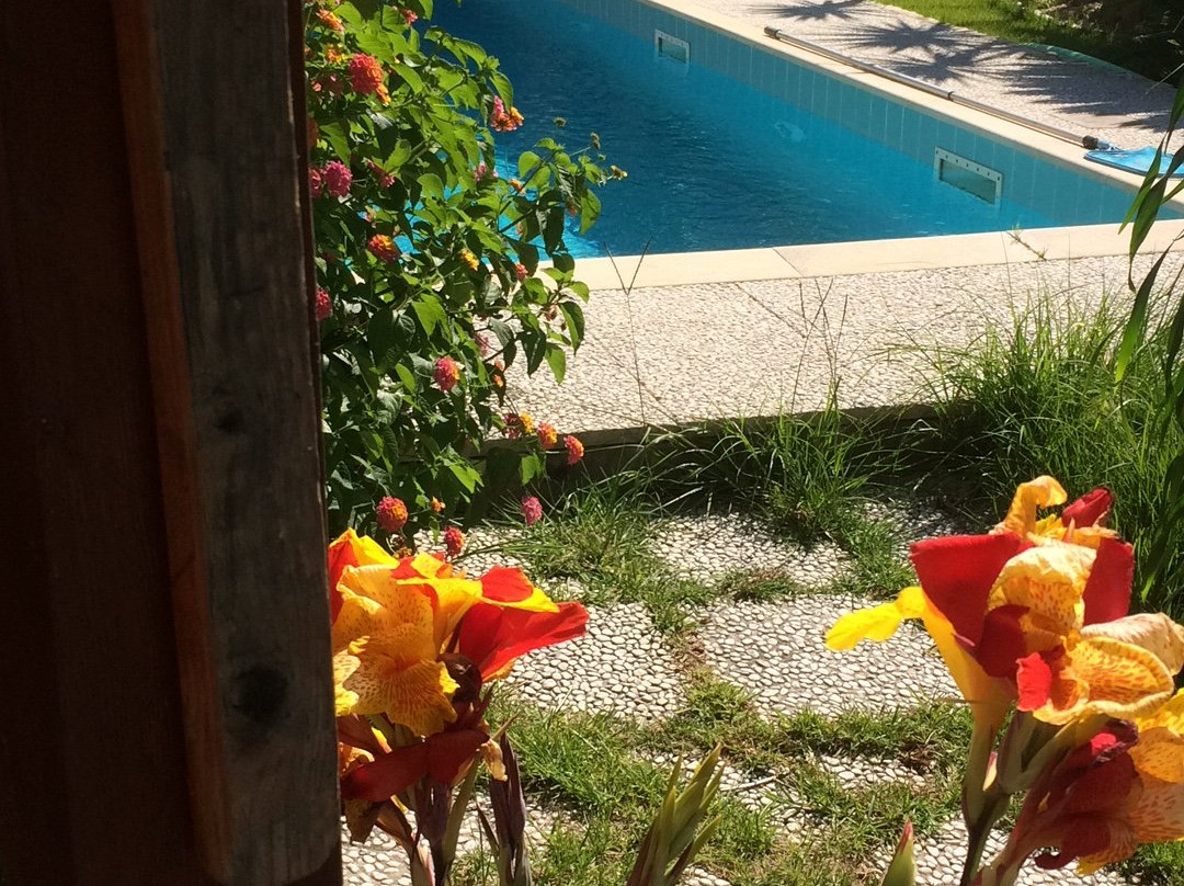 B&B Villa Beatrice主图