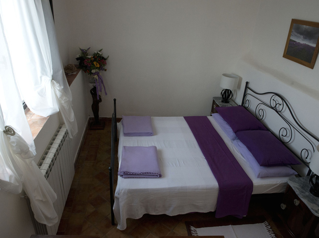 CASA GALLIDA di NAUD PATRICIA主图