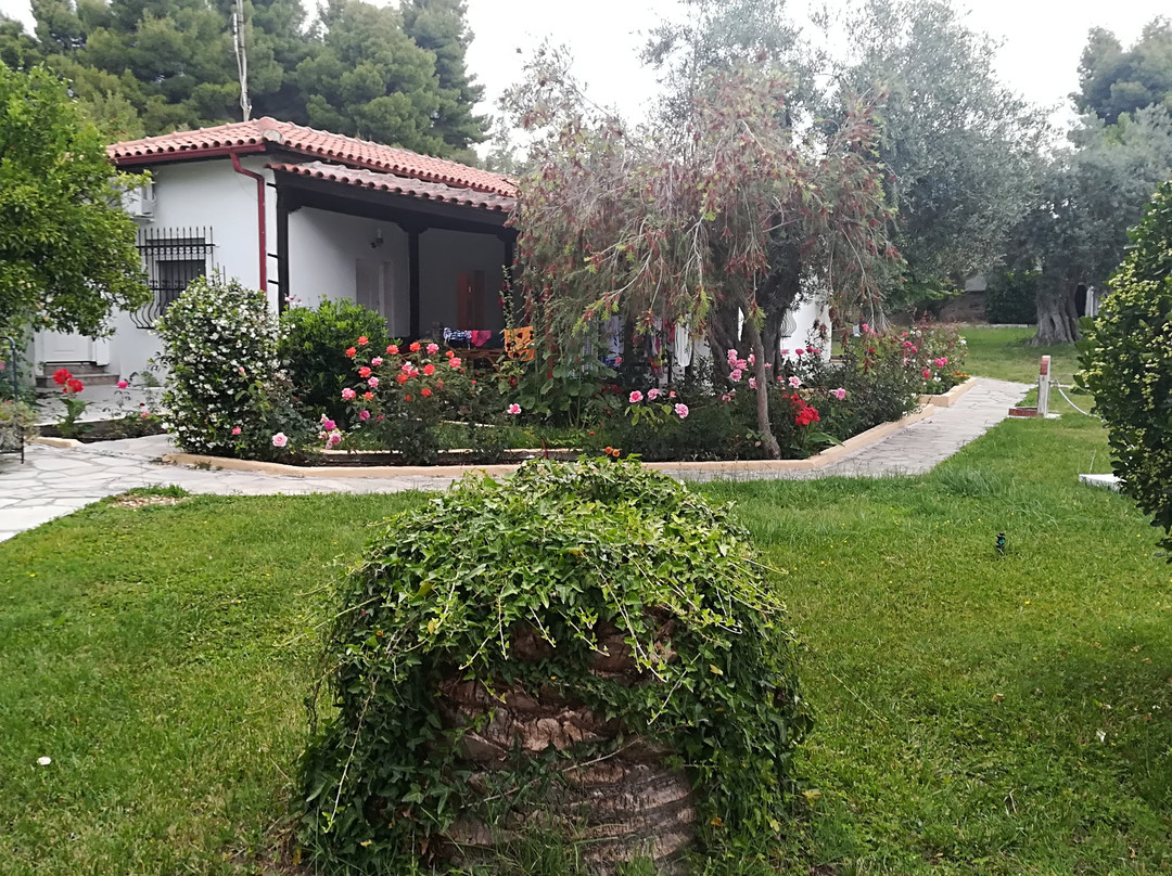 Olympic Bibis Hotel主图