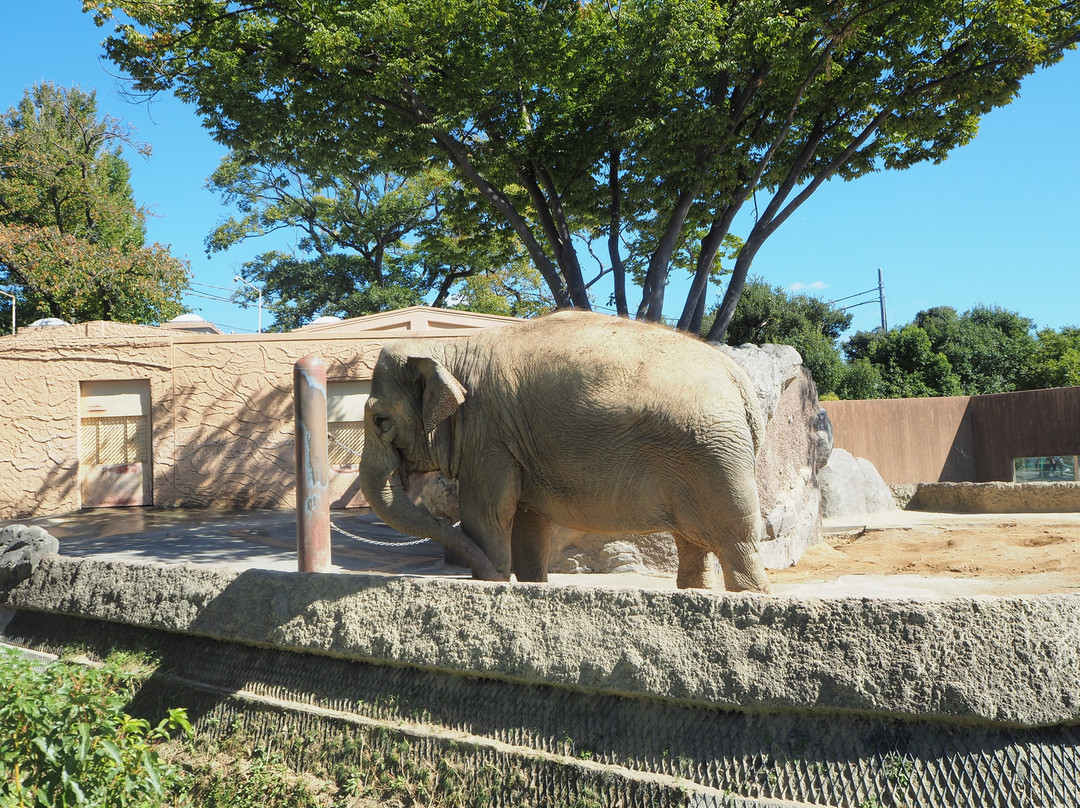 Hitachi City Kamine Zoo-日立市必去景点