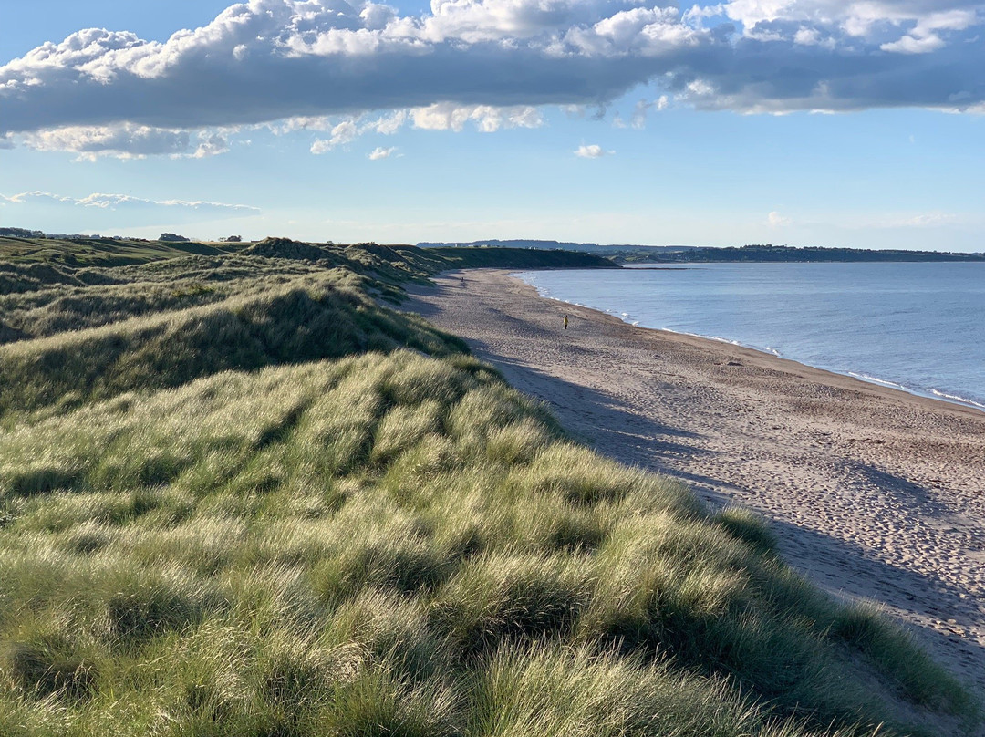 Warkworth Beach景点图片