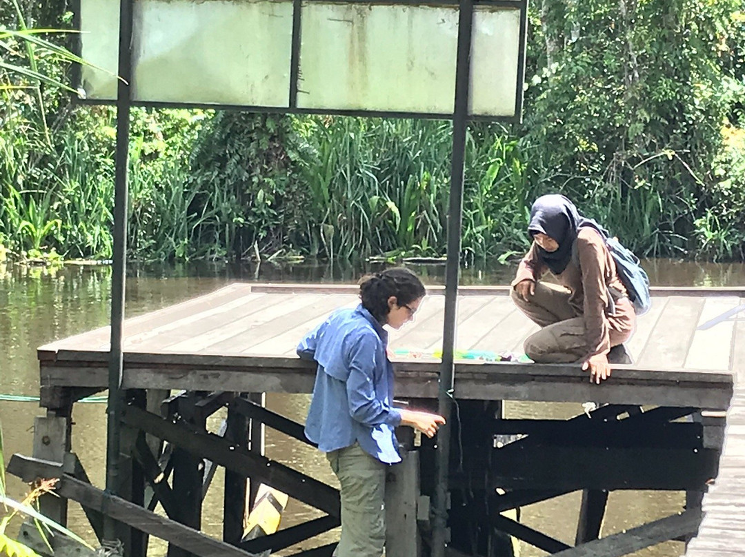 Wildlife Dream Tour-Pangkalan Bun必去景点