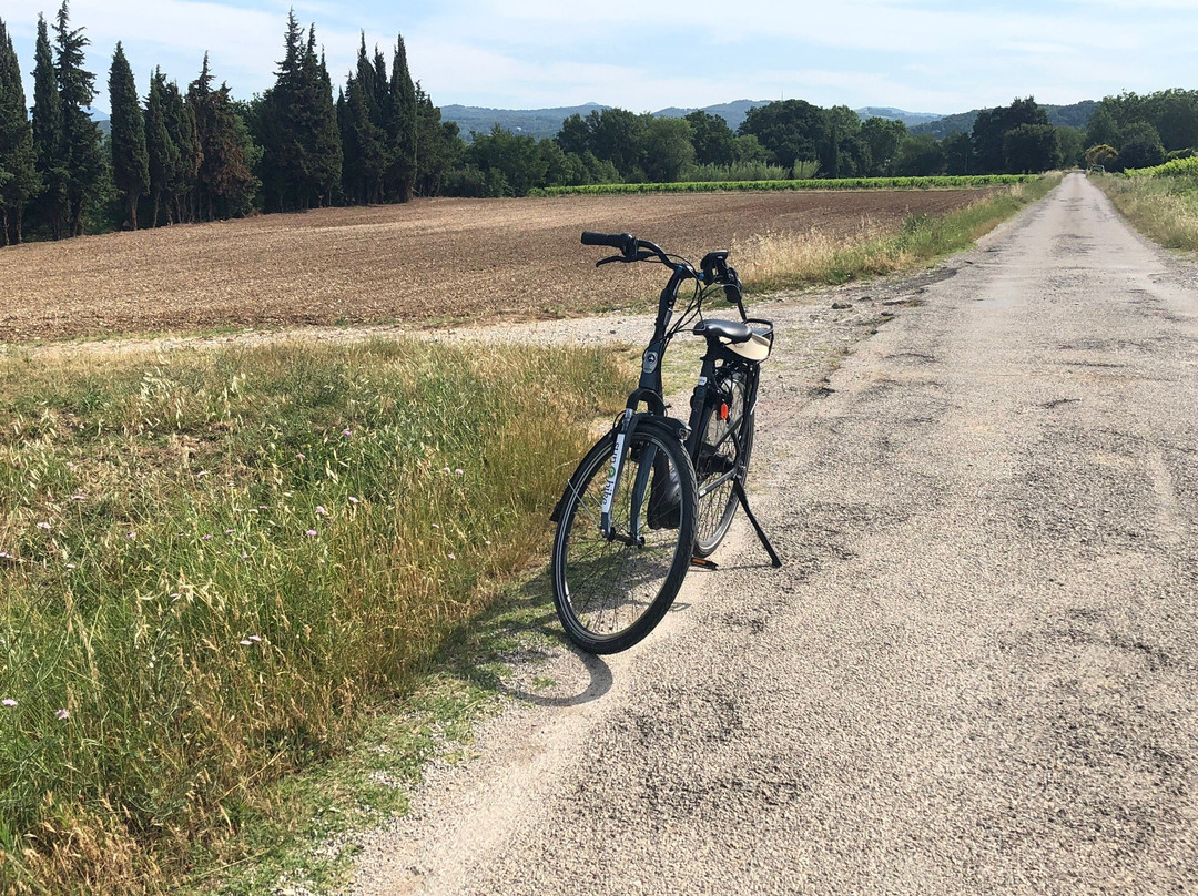 Sun-E-Bike景点图片