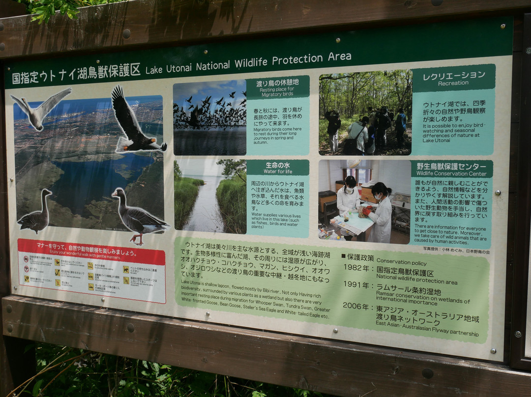 Lake Utonai Sanctuary景点图片