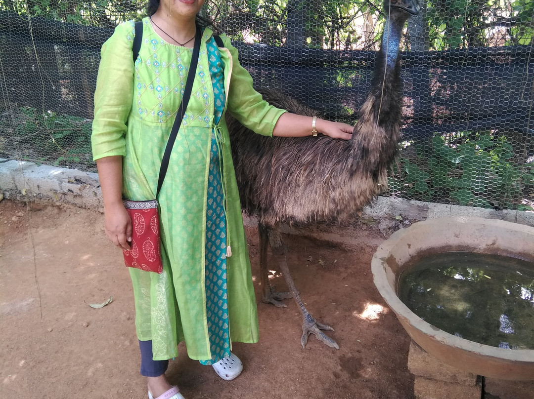 Prani, The Pet Sanctuary-班加罗尔必去景点