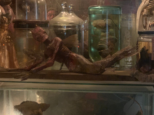 Trundle Manor-匹兹堡必去景点