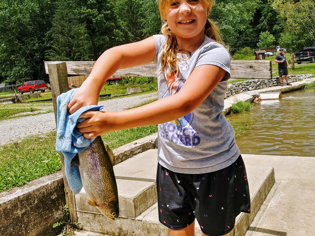 Morgan Mill and Balsam Grove Trout Fishing景点图片