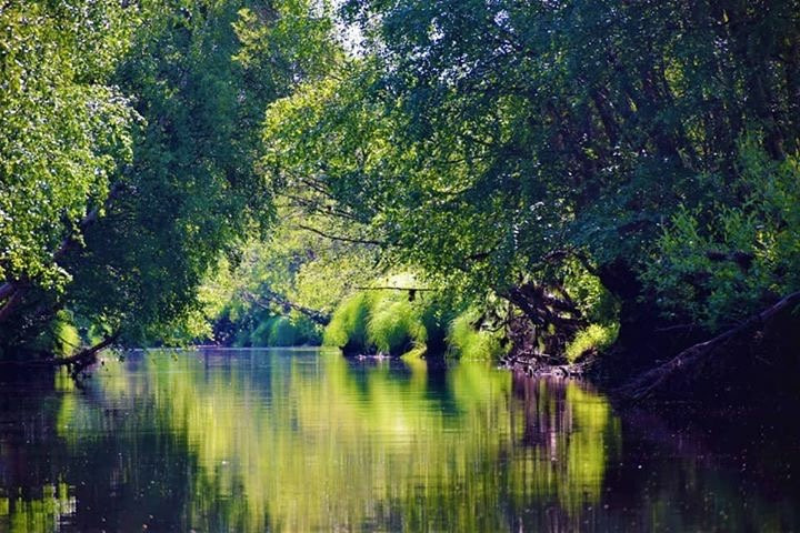 Savar旅游攻略图片