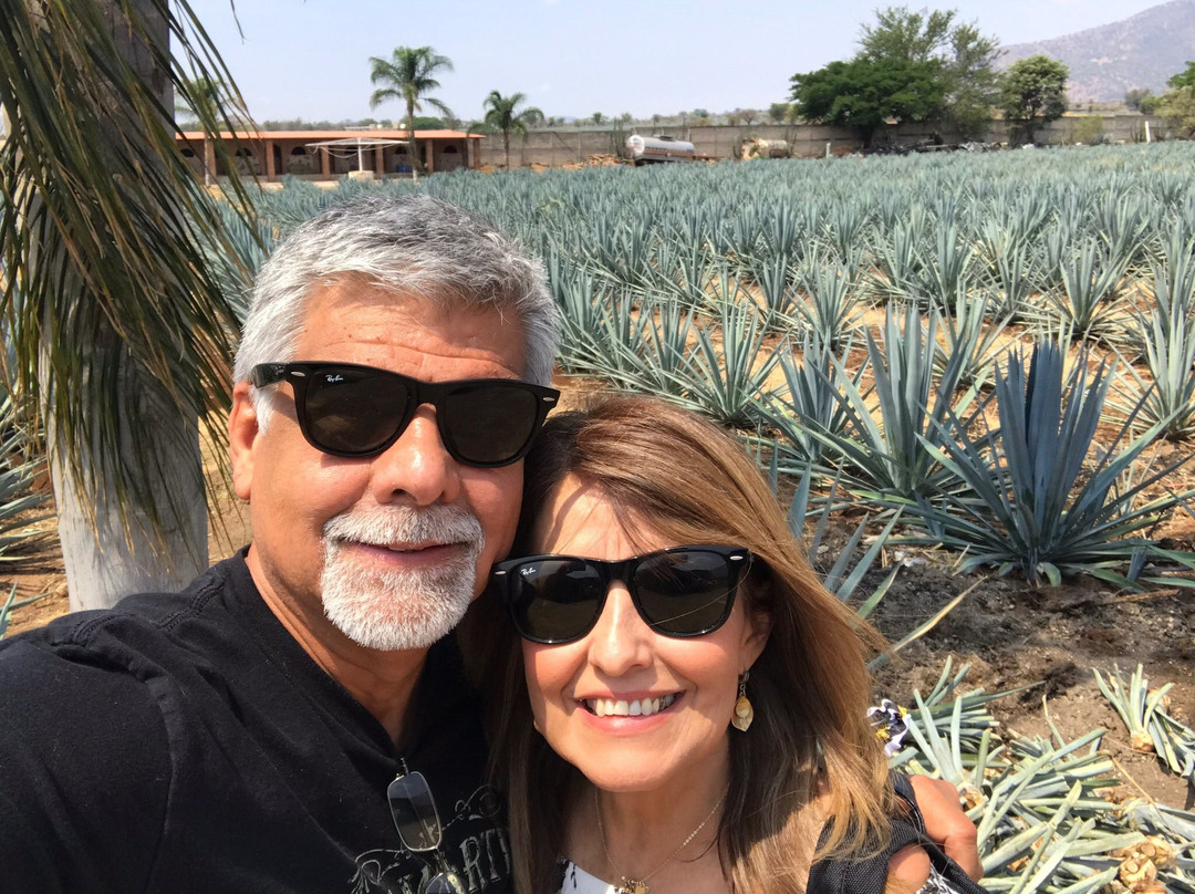 Mickey Marentes Tours & Experiences-特基拉必去景点