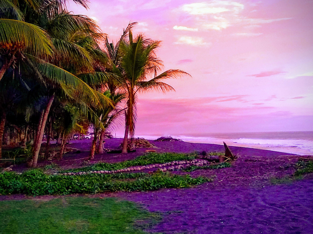 Hotel Sandpiper主图