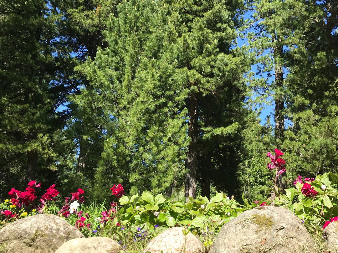 Botanical Garden-索洛维茨基必去景点