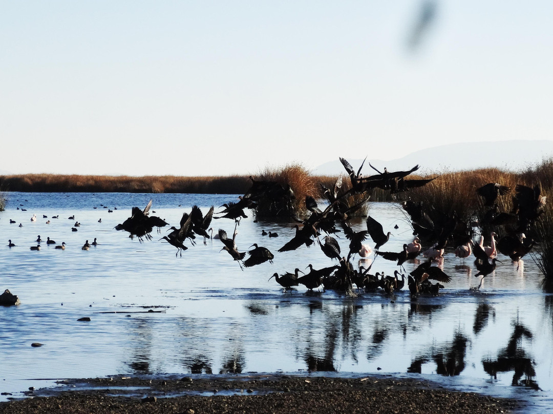 Spiritual Peru Land Travel-普诺大区必去景点