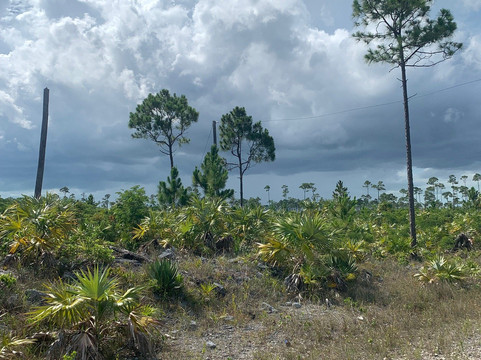 S&D Coach Tours-弗里波特必去景点
