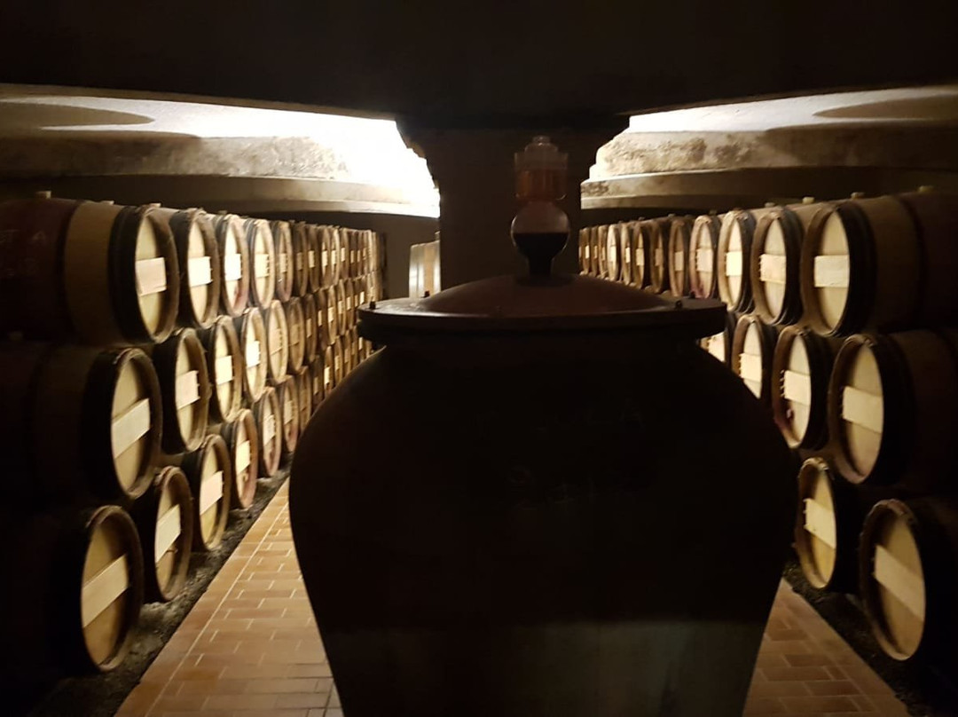Chateau Poitevin景点图片