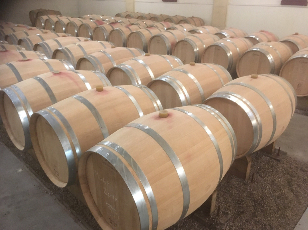 Chateau Haut-Lagrange景点图片