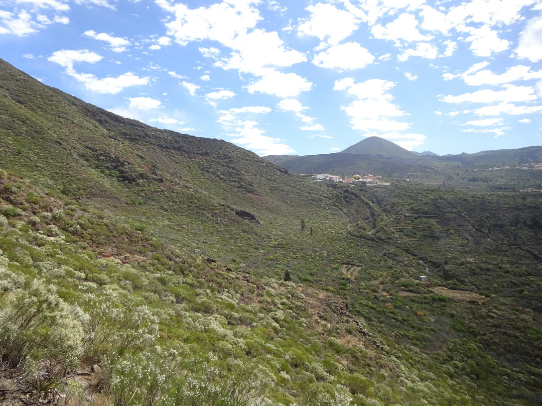 Canaventura - Private Day Tours-Guimar必去景点