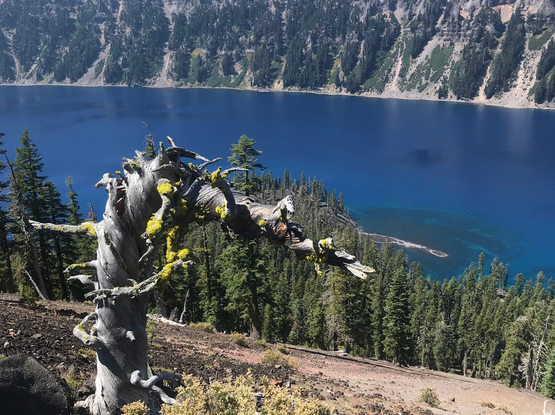 Wizard Island Summit Trail景点图片