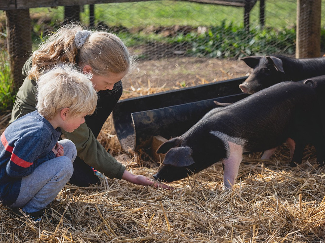 Guide Falls Farm-West Ridgley必去景点