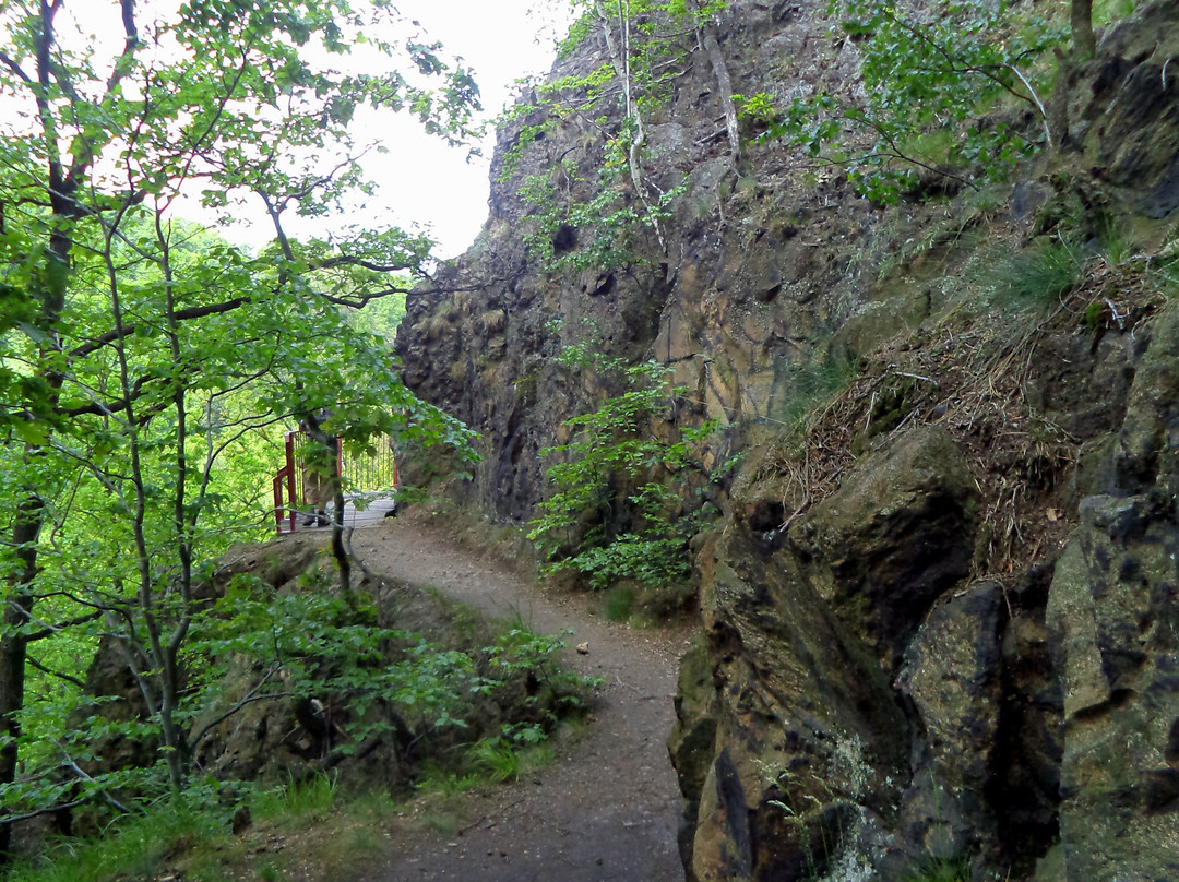 Książ Landscape Park景点图片