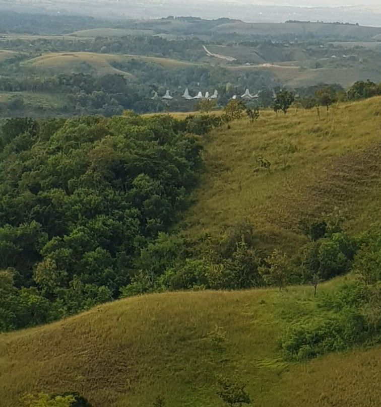 Lendongara Hill景点图片