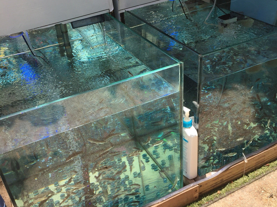 Aqua Marine Health & Spirit-普拉亚德尔卡曼必去景点