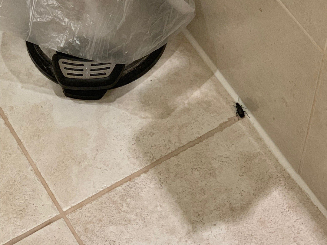 斯特拉特福德庄园酒店