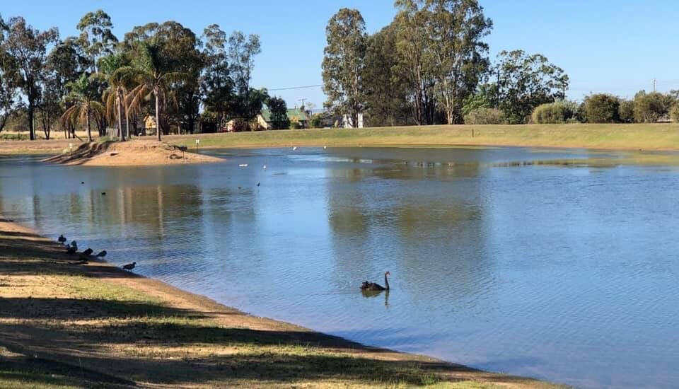 Millmerran Factory Dam Park景点图片