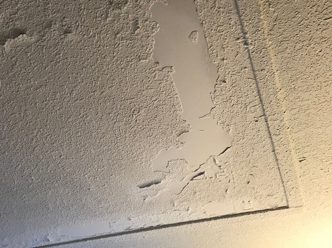 Travelodge by Wyndham South Burlington主图