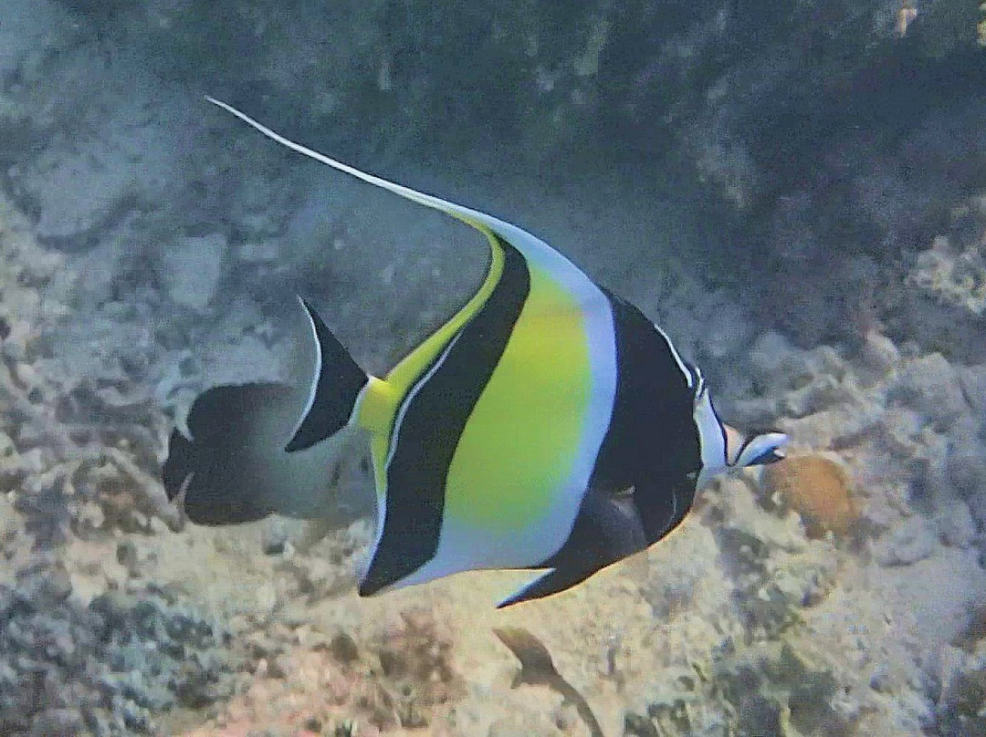 玛哈玛雅度假酒店主图