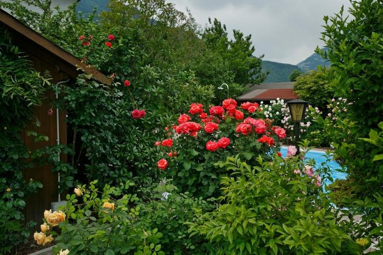 Residence Sonnengarten主图