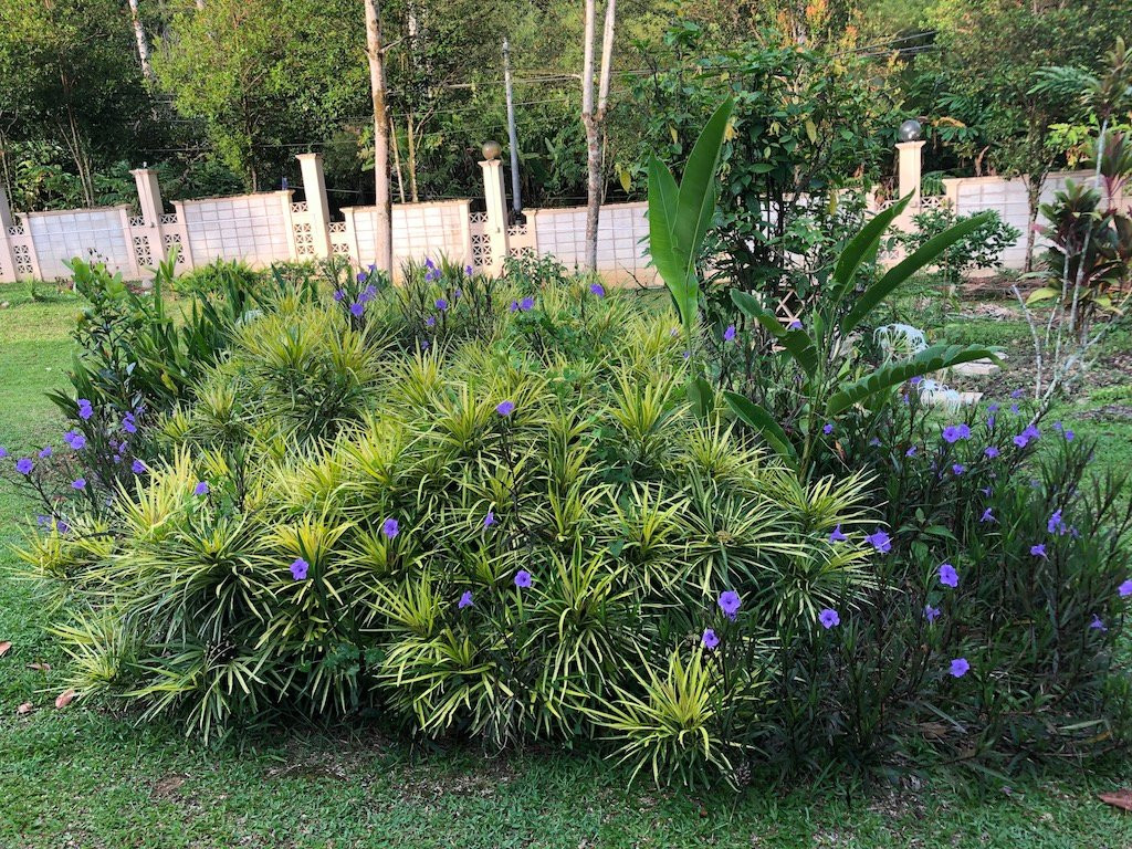 太阳山乡间别墅酒店主图
