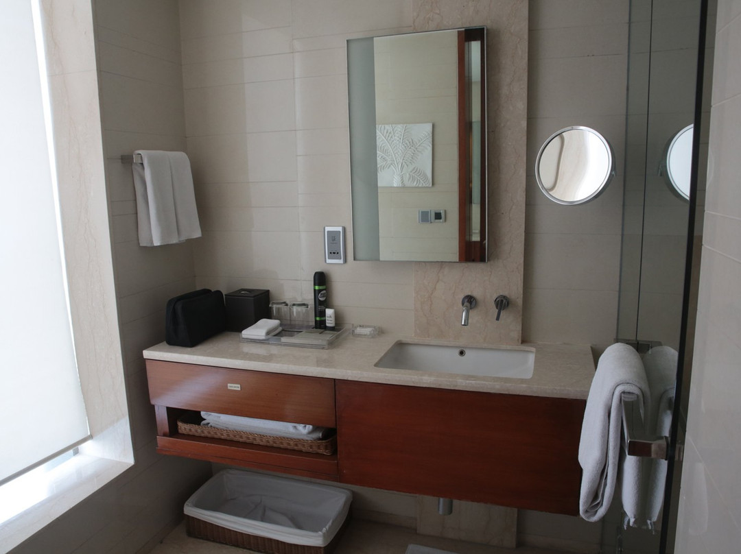 Hyatt Regency Amritsar Hotel & Spa主图