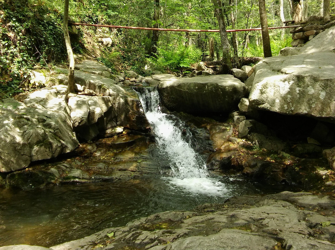 Parque Mediombiental de Gualba-Gualba必去景点