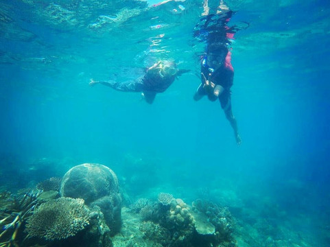 My Goa 365-加兰古特必去景点