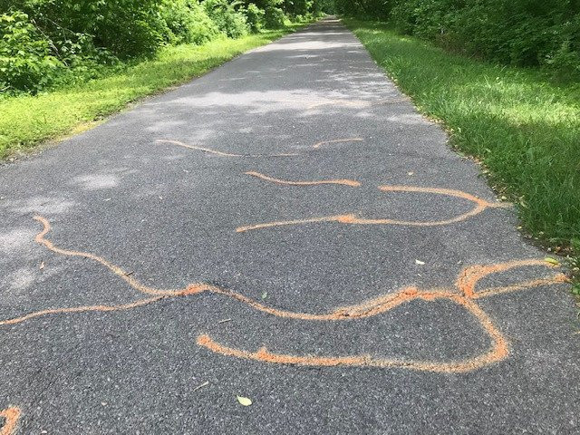 Western Maryland Rail Trail景点图片