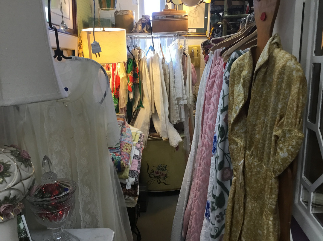 Treasures on the Lane景点图片